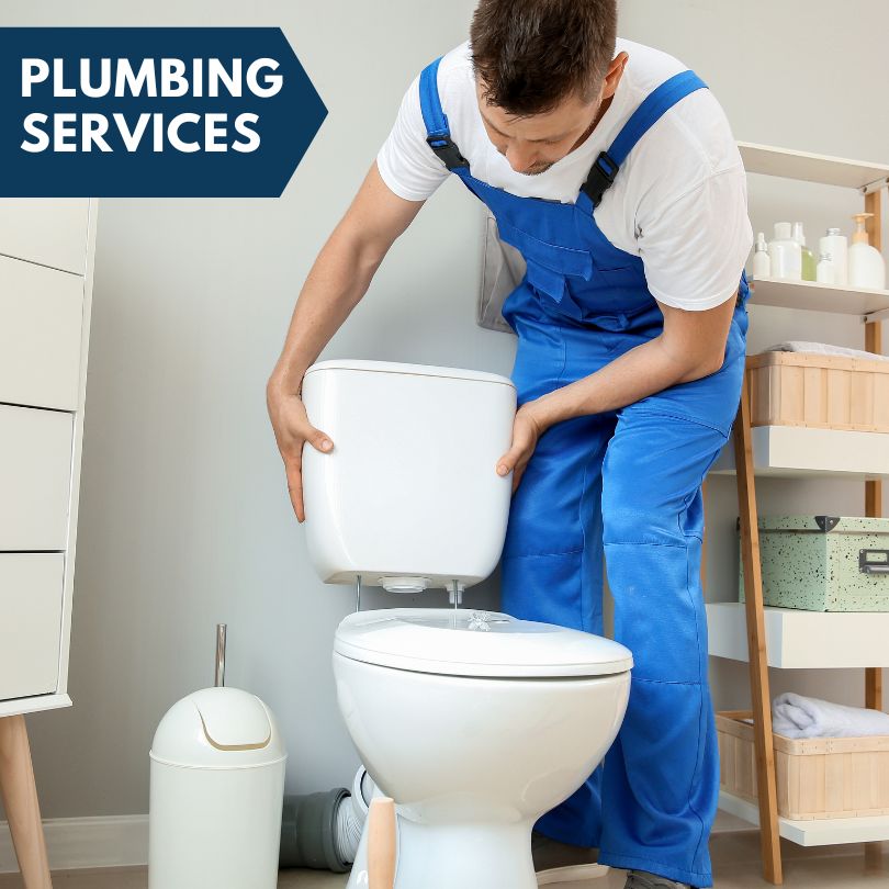 Plumbing Company in Bristow, IA